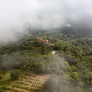 Alloggio per agriturismo Agriturismo Toscanna, Borselli
